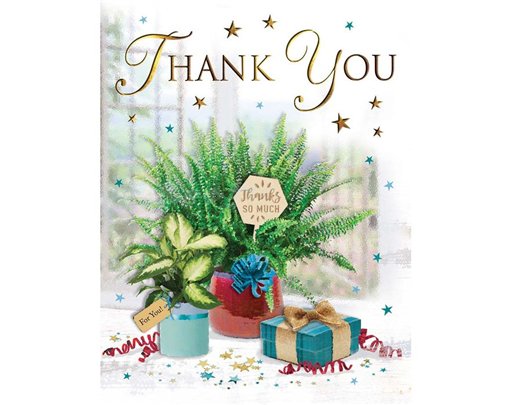 C50 THANK YOU SPECIAL THOUGHTS 6S