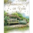 C50 THINKING OF YOU SPECIAL THOUGHTS 6S