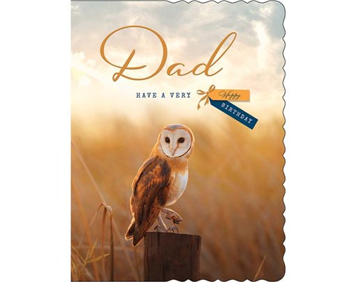 C50 DAD BIRTHDAY APERTURE 6S