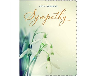 C50 SYMPATHY APERTURE 6S