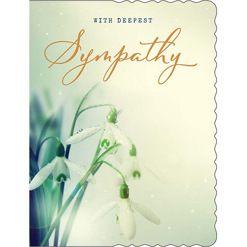 C50 SYMPATHY APERTURE 6S