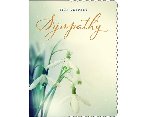 C50 SYMPATHY APERTURE 6S