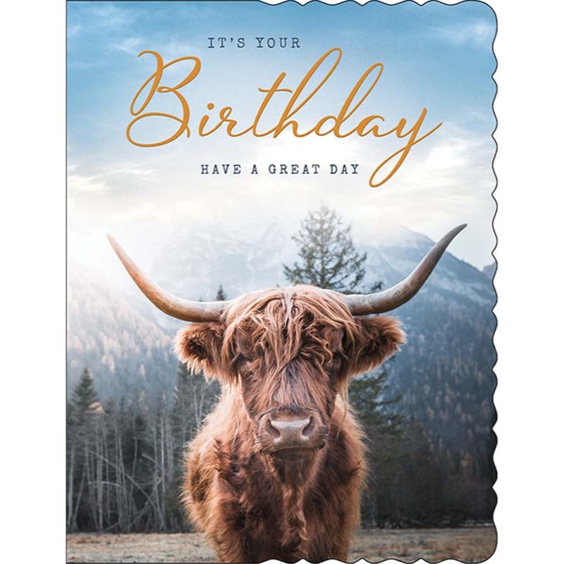 C50 MALE BIRTHDAY APERTURE 6S