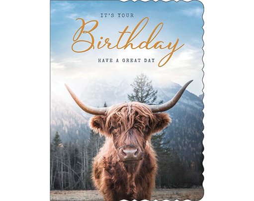 C50 MALE BIRTHDAY APERTURE 6S