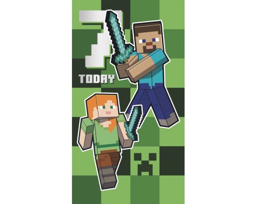 Minecraft 7 Today
