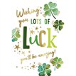 C75 GOOD LUCK MORELLO 6S