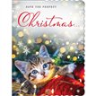 C50 OPEN APERTURE REGAL XMAS 6S