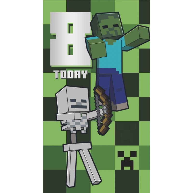Minecraft 8 Today