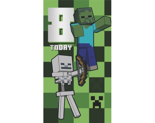 Minecraft 8 Today