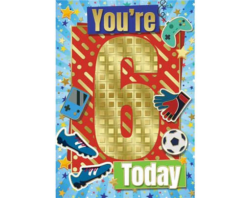 C50 AGE 6 BOY SILVERLINE E/DAY 12S