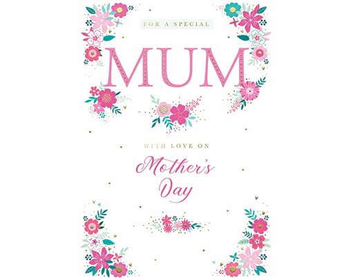 C50 MUM KINGFISHER MOTHERS DAY 6S