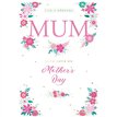 C50 MUM KINGFISHER MOTHERS DAY 6S