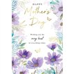 C50 OPEN KINGFISHER MOTHERS DAY 6S