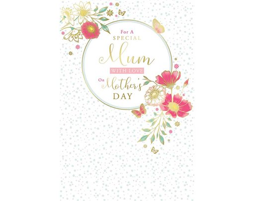 C75 MUM KINGFISHER MOTHERS DAY 6S