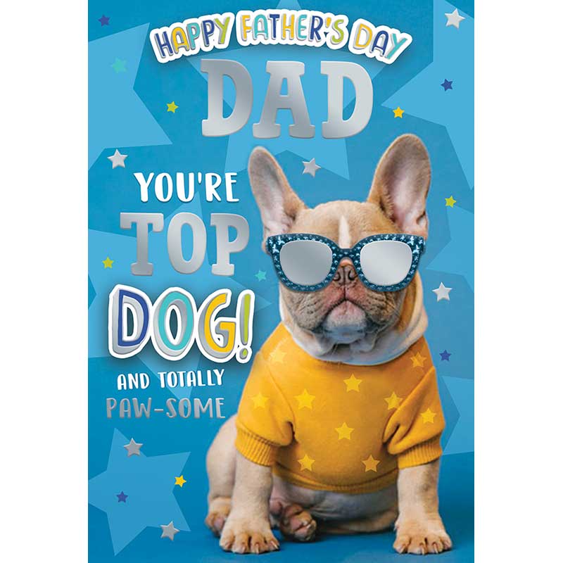 C50 DAD KINGFISHER FATHERS DAY 6S