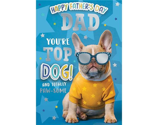 C50 DAD KINGFISHER FATHERS DAY 6S