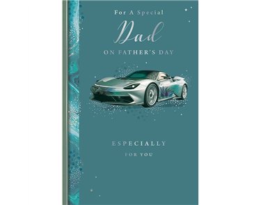 C75 DAD KINGFISHER FATHERS DAY 6S