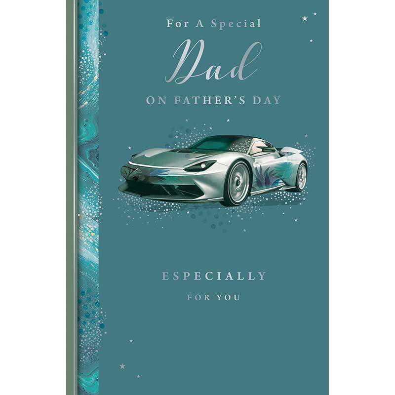 C75 DAD KINGFISHER FATHERS DAY 6S