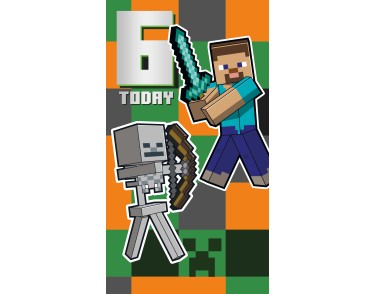 Minecraft 6 Today