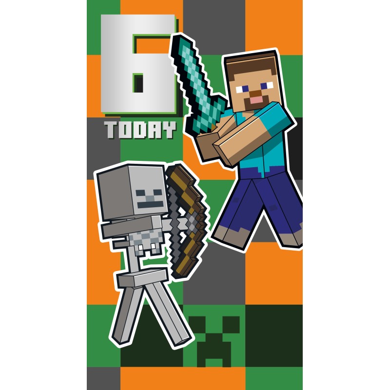 Minecraft 6 Today