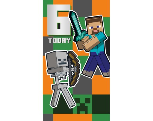 Minecraft 6 Today