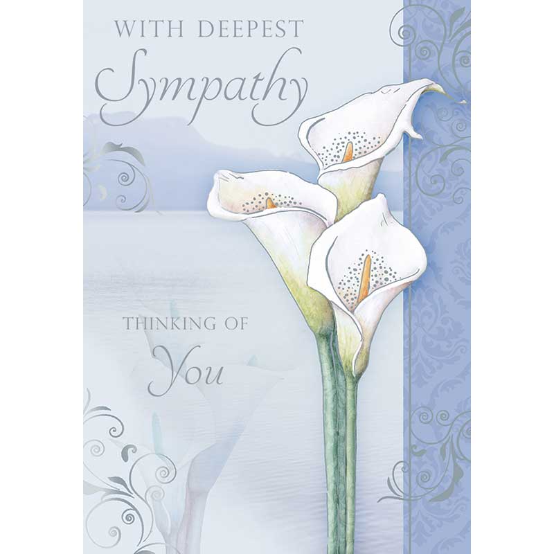 C50 SYMPATHY OPEN NEUTRAL TRAD XPRESS YOURSELF 6S