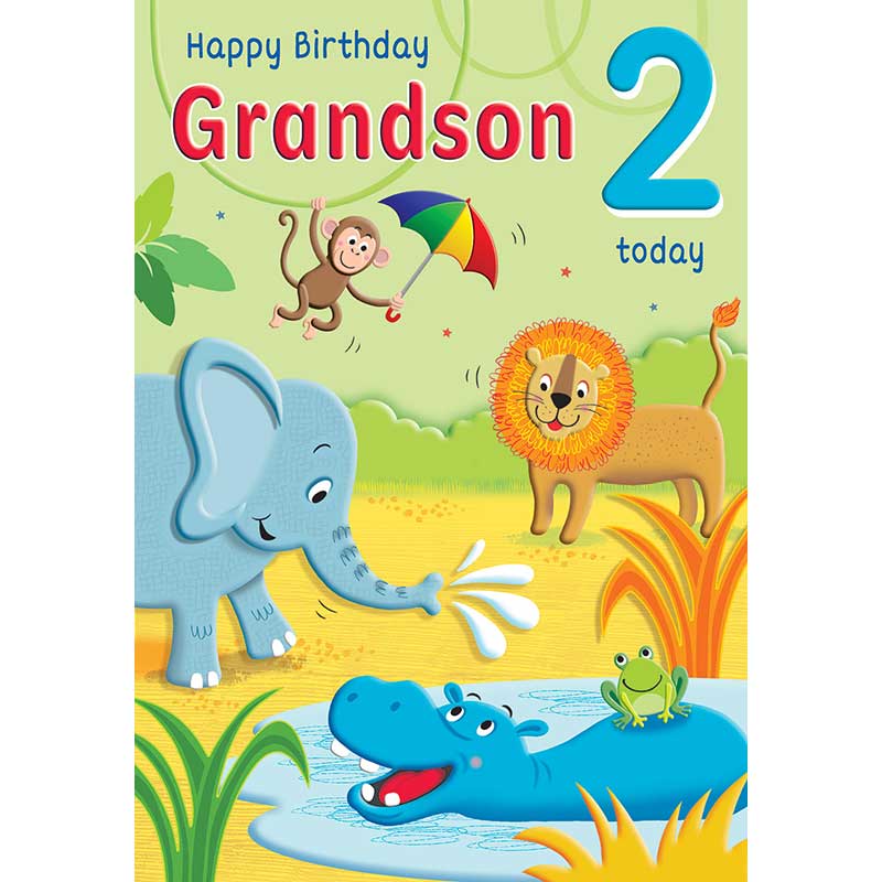 C75 AGE 2 GRANDSON HAPPY PLANET 6S
