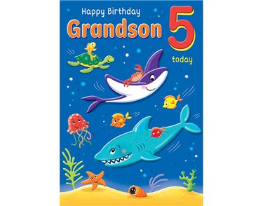 C75 AGE 5 GRANDSON HAPPY PLANET 6S