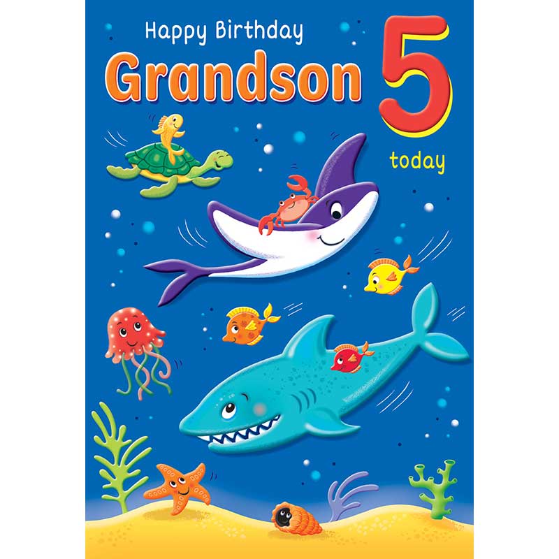 C75 AGE 5 GRANDSON HAPPY PLANET 6S