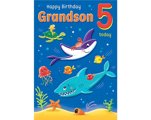 C75 AGE 5 GRANDSON HAPPY PLANET 6S