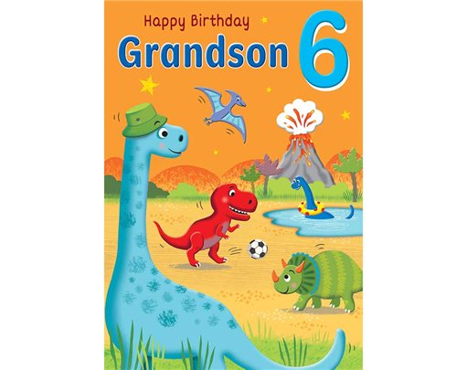 C75 AGE 6 GRANDSON HAPPY PLANET 6S