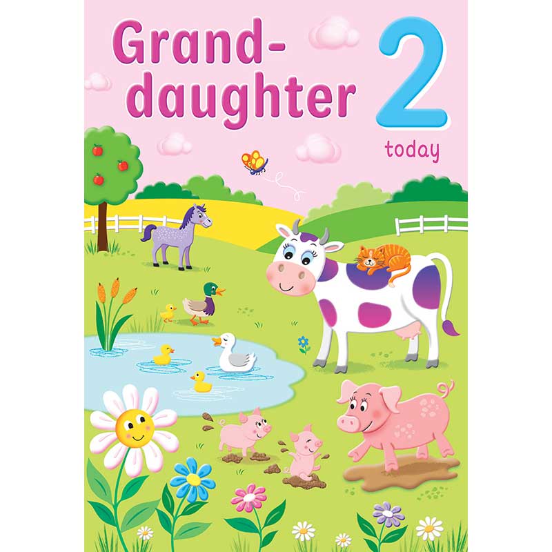 C75 AGE 2 GRANDDAUGHTER HAPPY PLANET 6S