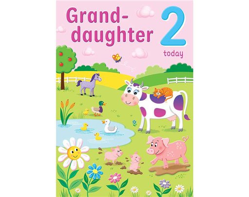 C75 AGE 2 GRANDDAUGHTER HAPPY PLANET 6S