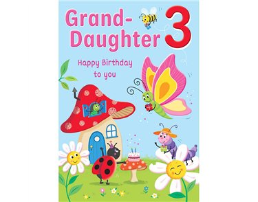 C75 AGE 3 GRANDDAUGHTER HAPPY PLANET 6S