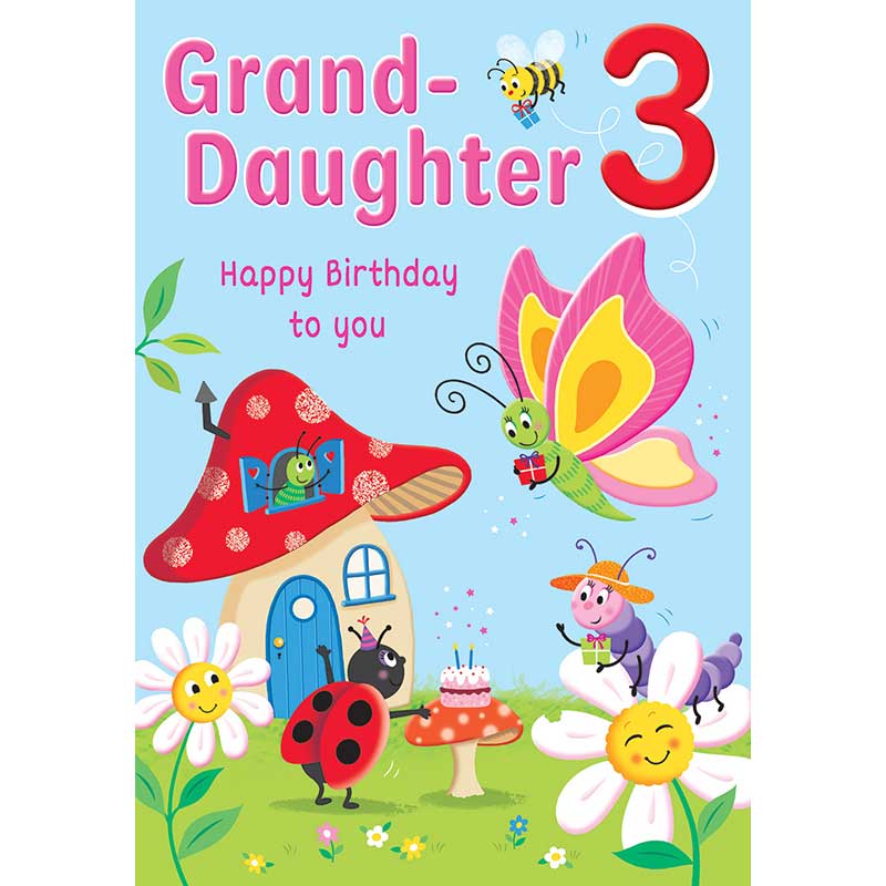 C75 AGE 3 GRANDDAUGHTER HAPPY PLANET 6S