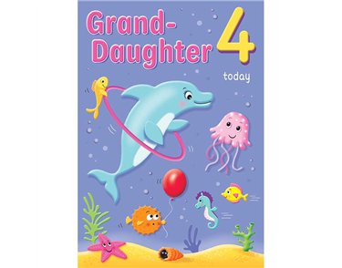 C75 AGE 4 GRANDDAUGHTER HAPPY PLANET 6S