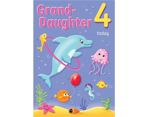 C75 AGE 4 GRANDDAUGHTER HAPPY PLANET 6S
