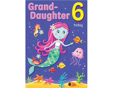 C75 AGE 6 GRANDDAUGHTER HAPPY PLANET 6S