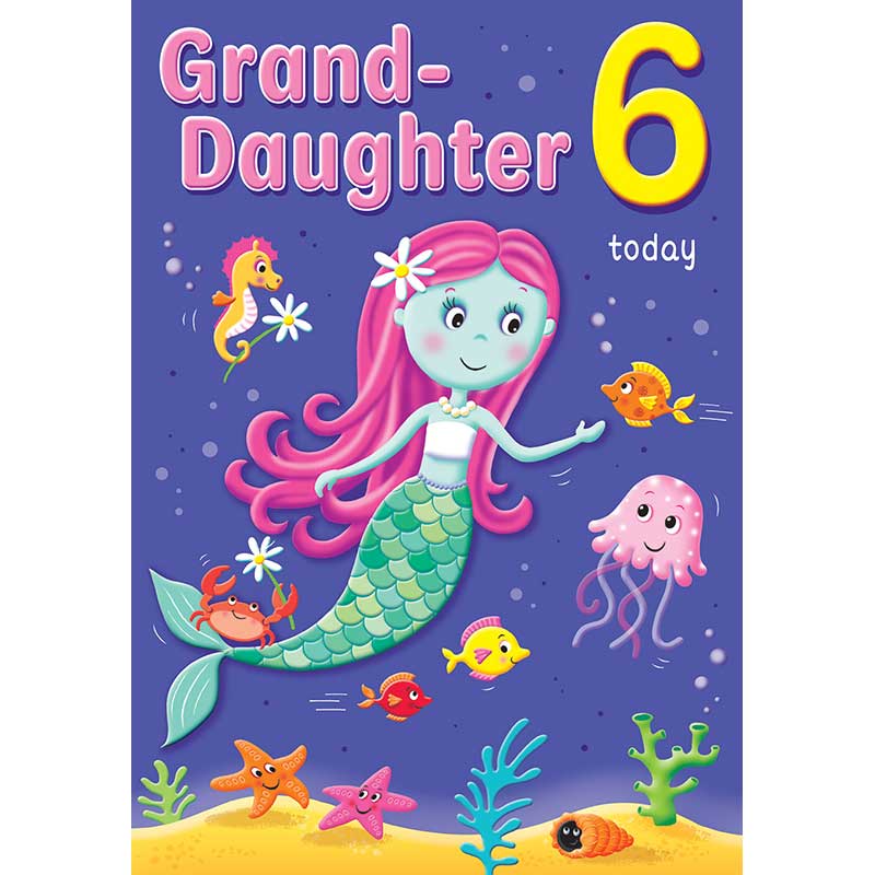 C75 AGE 6 GRANDDAUGHTER HAPPY PLANET 6S