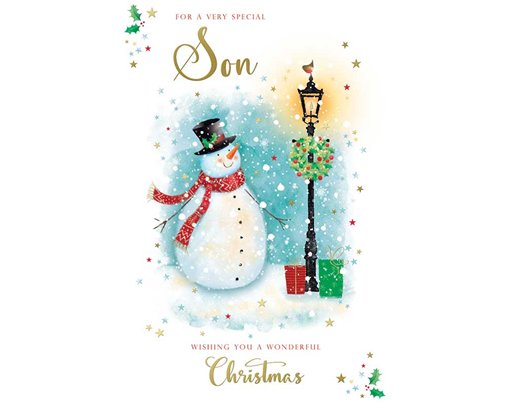 C75 SON KINGFISHER XMAS 6S