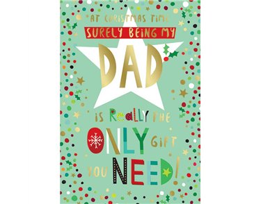 C50 DAD KINGFISHER XMAS 6S