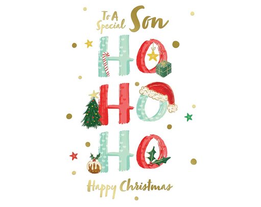 C50 SON KINGFISHER XMAS 6S