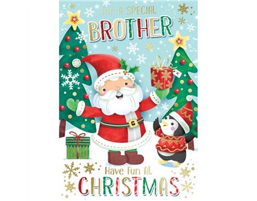 C50 BROTHER KINGFISHER XMAS 6S