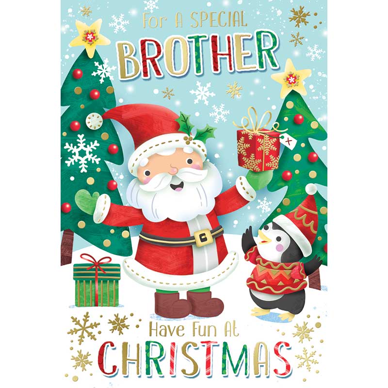 C50 BROTHER KINGFISHER XMAS 6S
