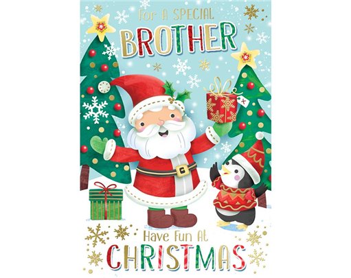 C50 BROTHER KINGFISHER XMAS 6S