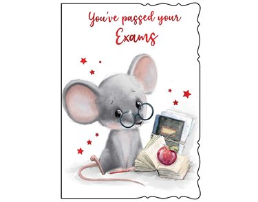 C50 EXAM PASS NEUTRAL BACK TO SCHOOL OOTB 6S