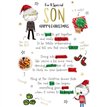 C50 SON KINGFISHER XMAS 6S