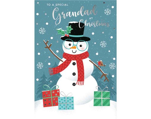 C50 GRANDAD KINGFISHER XMAS 6S