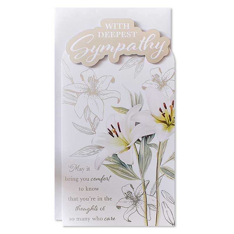 C55 SYMPATHY OPEN TRADITIONAL PLATINUM 6S