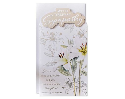 C55 SYMPATHY OPEN TRADITIONAL PLATINUM 6S